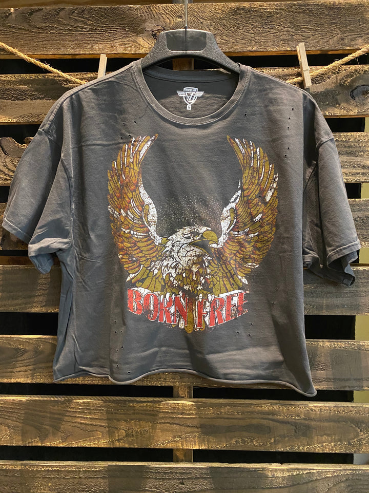 Born☆Free Born Free OVERSIZED 90's vibe distressed Cropped T- shirt